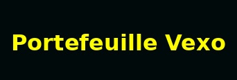 Portefeuille_Vexo_YellowLogo_342x116 - Coin Watchdog | Investing in Digital Currencies Safely Portefeuille Vexo logo